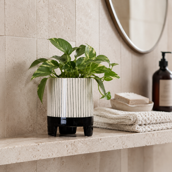 Striped Geometric Planter