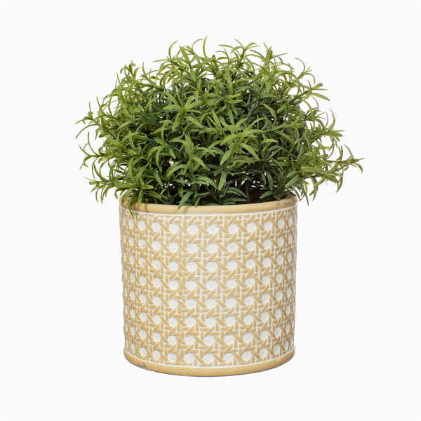 RATTAN WEAVE CONCRETE PLANTER - style my pad