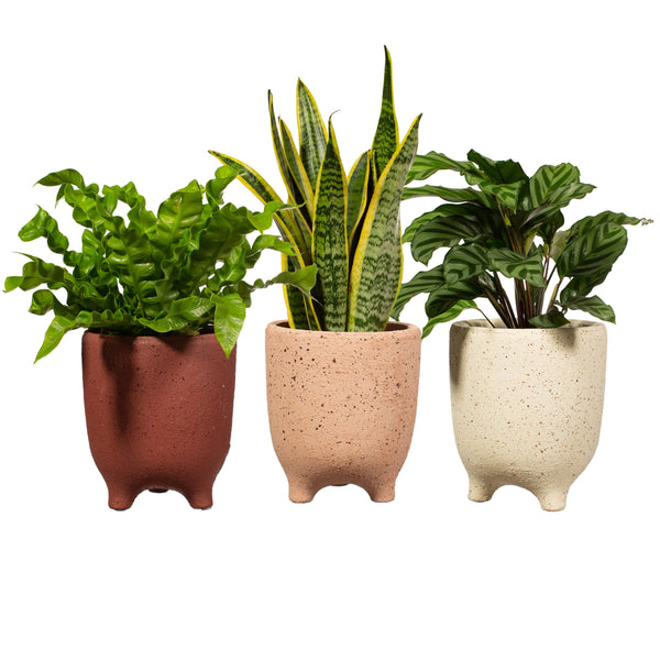 Speckled Leggy Planter Large 3 Assorted - Style My pad